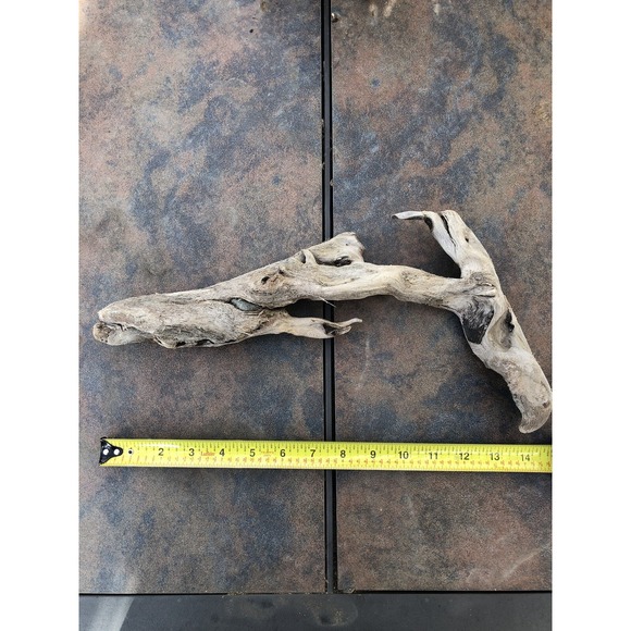 Natural Driftwood for Plants Terrarium Taxidermy Art Projects - Picture 2 of 8
